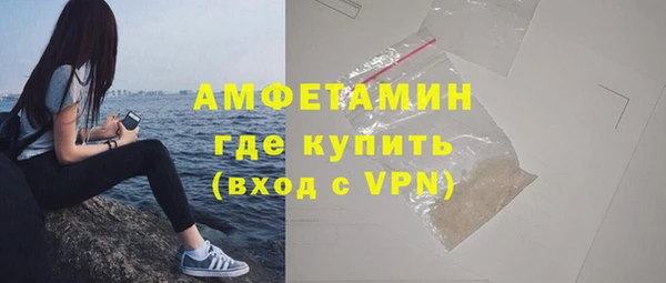 ГАЛЛЮЦИНОГЕННЫЕ ГРИБЫ Гусь-Хрустальный