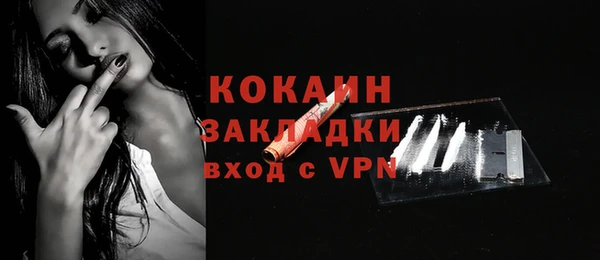 ГАЛЛЮЦИНОГЕННЫЕ ГРИБЫ Гусь-Хрустальный