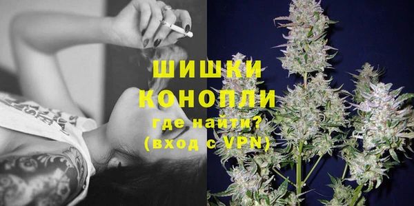 ГАЛЛЮЦИНОГЕННЫЕ ГРИБЫ Гусь-Хрустальный