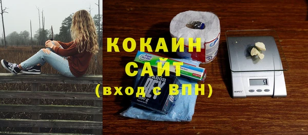 ГАЛЛЮЦИНОГЕННЫЕ ГРИБЫ Гусь-Хрустальный