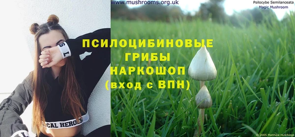 амфетамин Гусев