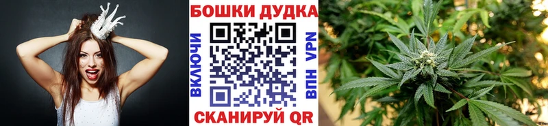 Канабис семена  Ачинск 