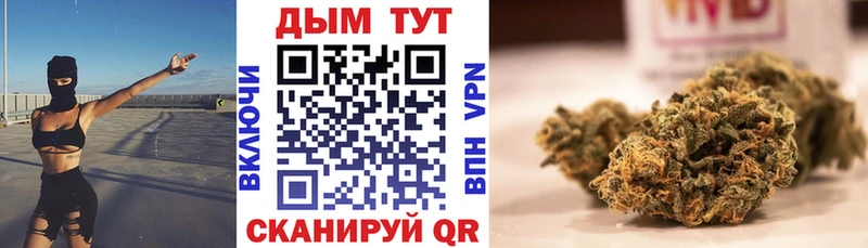 Каннабис Bruce Banner Ачинск
